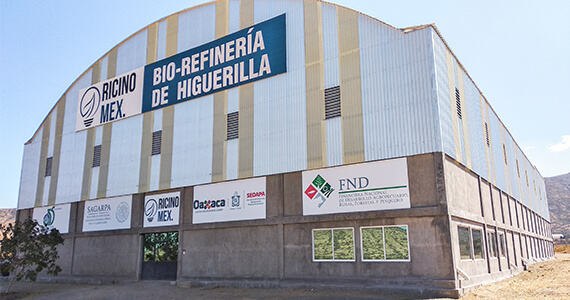 bio-refineria